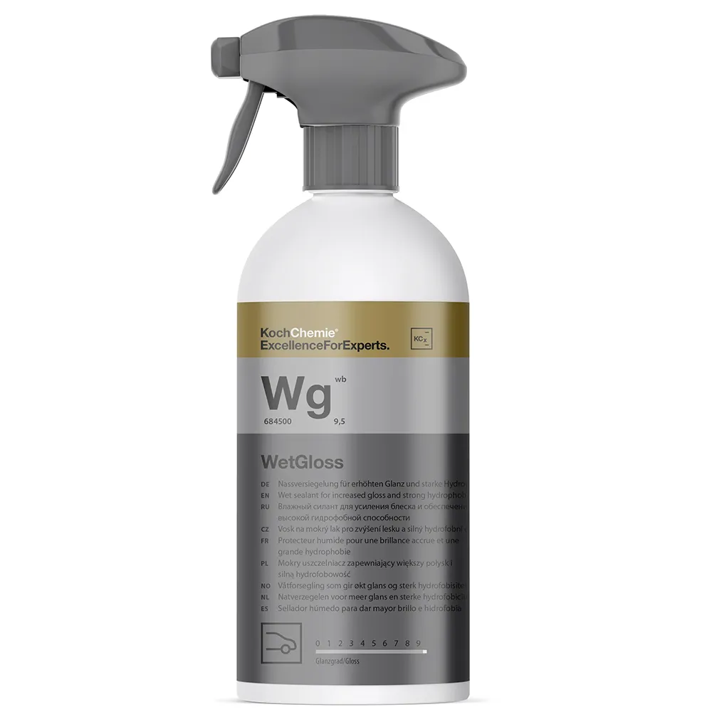 WetGloss - Protection Humide Haute Performance — image 1